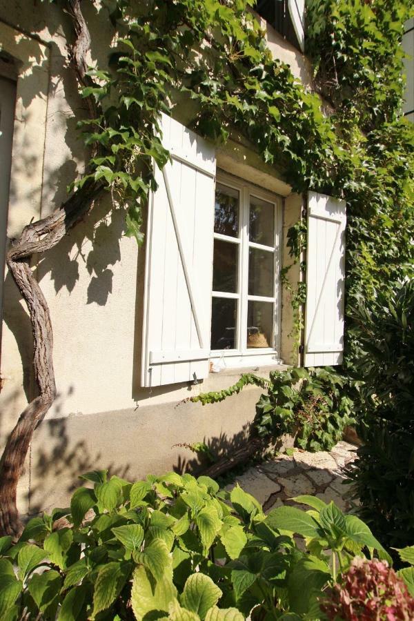 Villa Saint-Georges Vesoul Zewnętrze zdjęcie